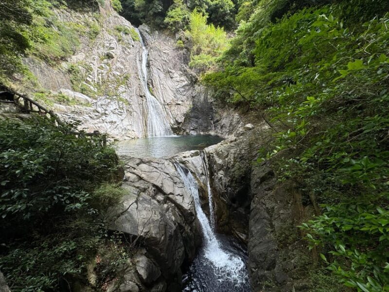 Kobe: Complete Guided Tour of the Mountain Side of Kobe - Who Will Love This Tour?