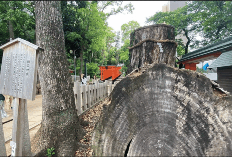 kobe-guided-tour-including-port-area-and-arima-onsen-town