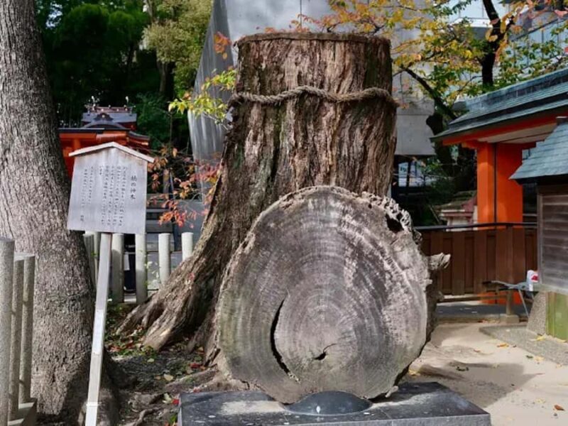 Kobe: Guided Walking Tour with Kobe Beef Lunch - Detailed Breakdown of the Itinerary