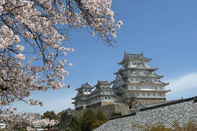 Kobe-Himeji Customize Tour with Pickup and Drop Off - Key Points