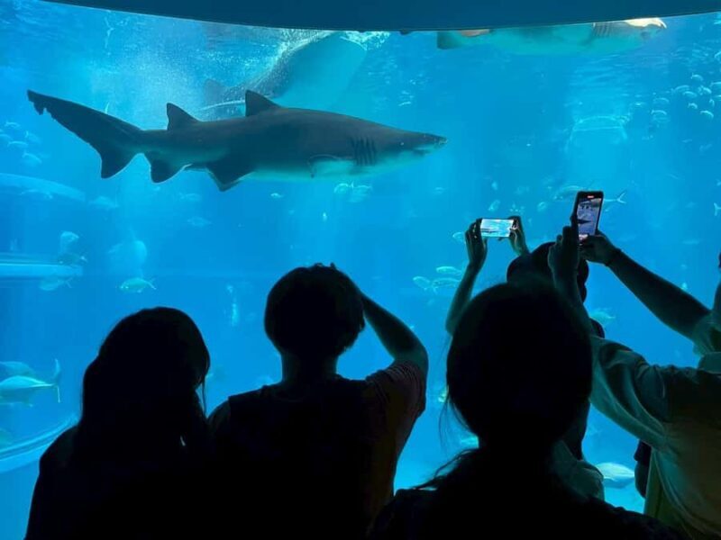 Kobe & Himeji: Private Day Tour with English Driver & Pickup - FAQ