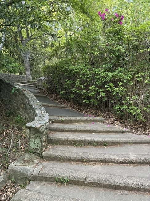 Kobe: Night Hike Adventure and local dining experience tour - Final Thoughts