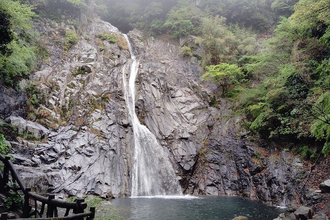 Kobe Nunobiki Falls Morning Guided Hike - Key Points