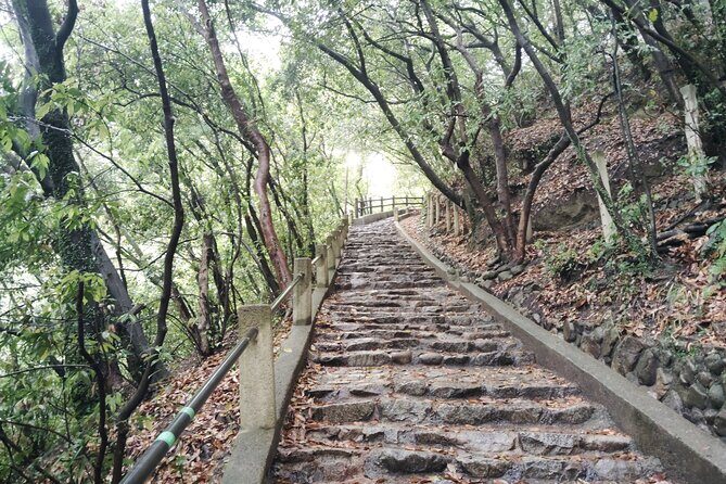 Kobe Nunobiki Falls Morning Guided Hike - Practical Details: What to Expect