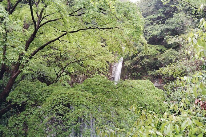 Kobe Nunobiki Falls Morning Guided Hike - Authentic Experiences from Past Travelers
