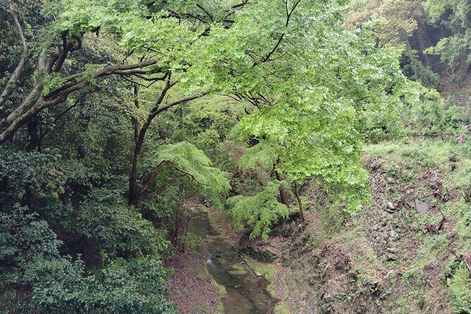 Kobe Nunobiki Falls Morning Guided Hike - Who Should Consider this Tour?