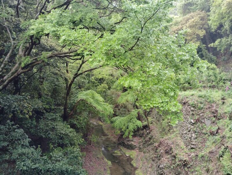 Kobe: Nunobiki Falls Morning Guided Hike - What to Expect from the Tour