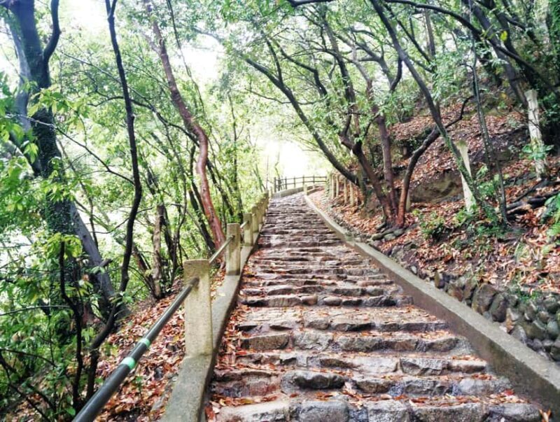 Kobe: Nunobiki Falls Morning Guided Hike - Why This Tour Is a Great Choice