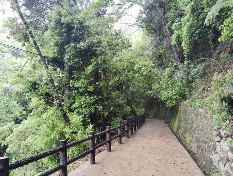 Kobe: Nunobiki Falls Morning Guided Hike - Practical Tips for Your Hike