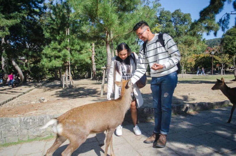 Kobe: Private Walking Shore Excursion- Kyoto/Osaka/Nara/Kobe - Key Points