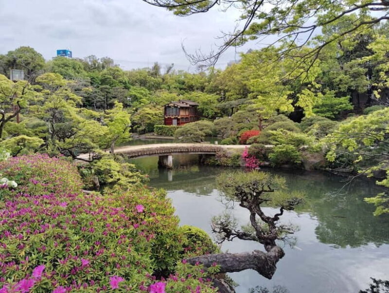 Kobe: Sake Tasting, Shrines, Gardens & Scenic Harbor in 1Day - Who Will Love This Tour?