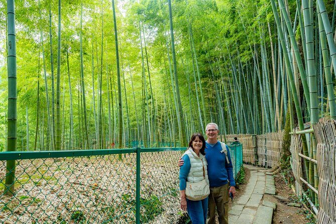 Kobe Shore Excursion: 1-Day Tour by Car to Kyoto, Osaka or Nara - What Makes This Tour Stand Out?