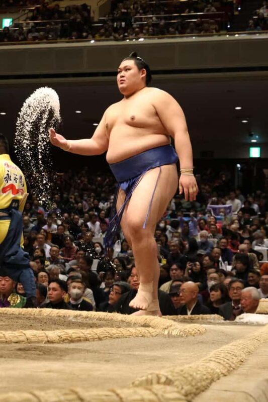 Kobe Sumo Tour from Osaka (Guide & Ticket Included) | Mar 31 - Who is This Tour Best For?