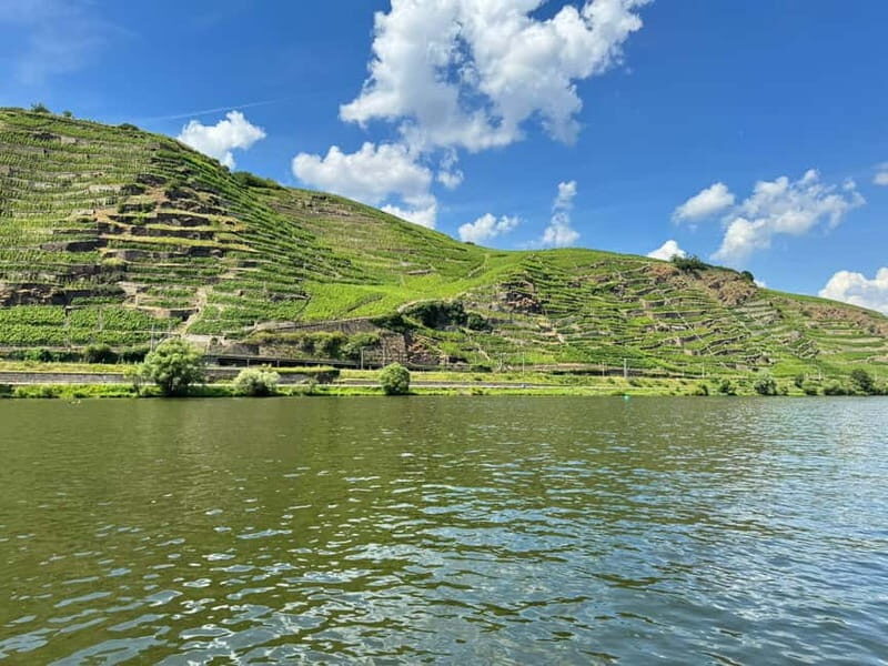 Koblenz: Private boat tour on the Moselle + wine experience - Practical Tips and What to Bring