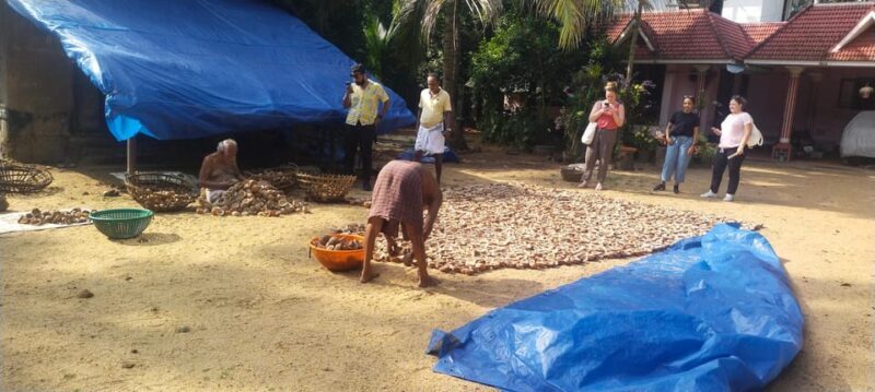 Kochi: Backwater Exploration in Village: Free Pickup & Drop - Who Would Love This Experience?