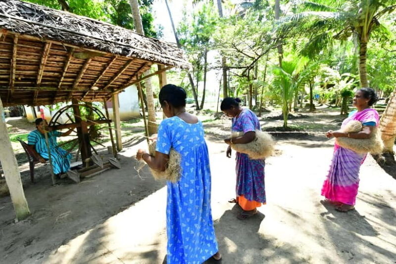 Kochi: Backwater Village Guided Visit with Meal - What You’ll Love About This Tour