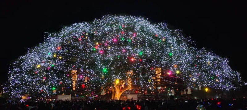 Kochi: Flea & Festive Market - Who Will Love This Tour?