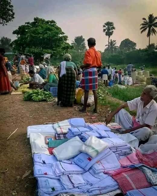 Kochi: Highlights Ways of Life & Attitudes Tour - A Closer Look at the Itinerary and Experience