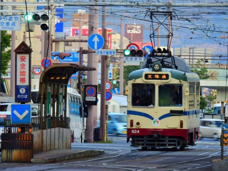 Kochi: Hirome Market Food Tour & Local Tasting Walk - An In-Depth Look at the Kochi Hirome Market Food Tour