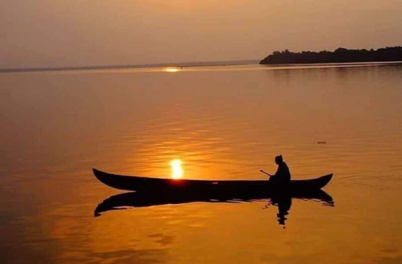 Kochi: Kumarakom Day Trip with Private Shikara Cruise & more - A Deep Dive into the Kumarakom Day Trip Experience