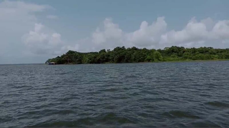 Kochi: Kumarakom Day Trip with Private Shikara Cruise & more - Final Thoughts: Is It Worth It?