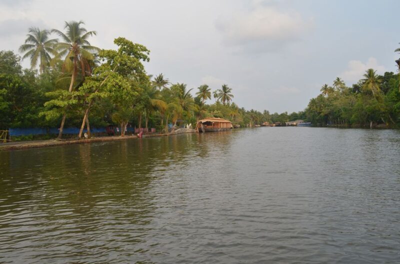 Kochi: Private Backwater Houseboat Day Cruise with Transfers - An In-Depth Look at the Kochi Backwater Houseboat Day Cruise