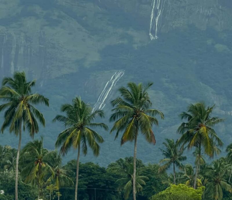 Kochi: Private Kerala Scenic Beauty Day Tour with Lunch - Experience Overview and Why It’s Worth Considering