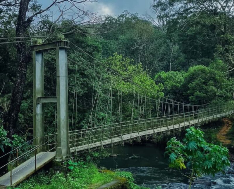 Kochi: Private Kerala Scenic Beauty Day Tour with Lunch - Discovering Nelliyambathy and Nenmara