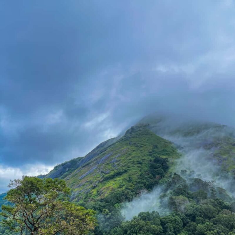 Kochi: Private Kerala Scenic Beauty Day Tour with Lunch - Viewpoints and Tea Plantations