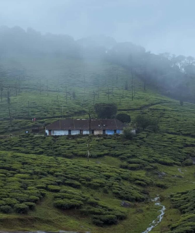 Kochi: Private Kerala Scenic Beauty Day Tour with Lunch - Final Thoughts