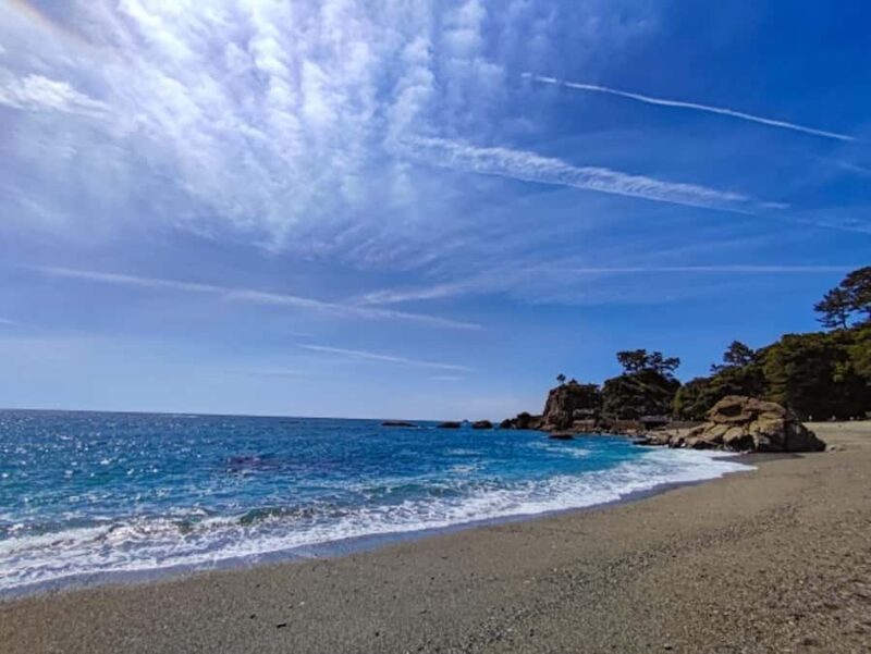 Kochi: Private Shore Excursion for cruise passenger - A Day in Kochi: What to Expect