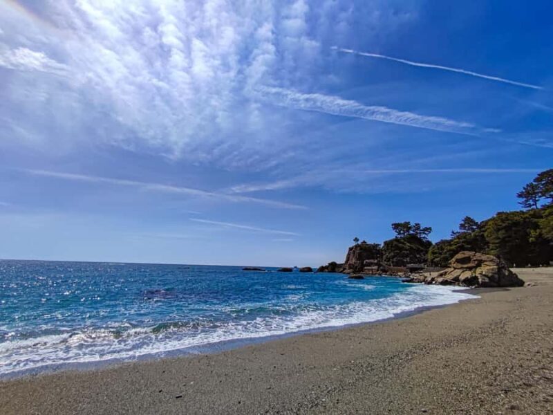 Kochi: Private Shore Excursion for cruise passenger - FAQ