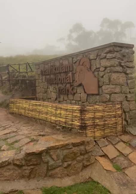 Kochi to Munnar: Eravikulam, Tea Estate and Waterfalls - A Practical Overview of the Tour