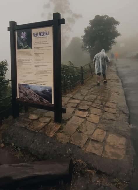 Kochi to Munnar: Eravikulam, Tea Estate and Waterfalls - What’s Included and What To Prepare For