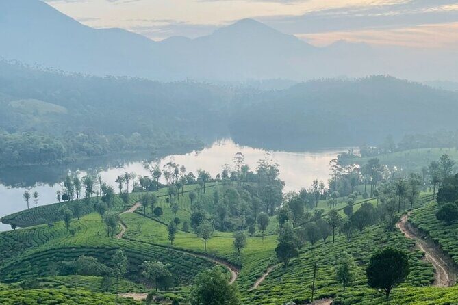 Kochi to Munnar Full Day Tour with Eravikulam, lockhart and Lunch - The Journey Begins in Kochi