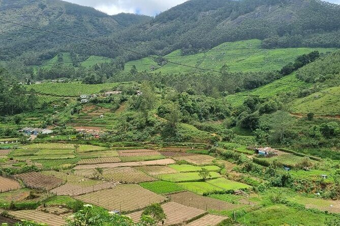 Kochi to Munnar Private Full Day Guided Tour With Hotel Pickup - An In-Depth Look at the Itinerary