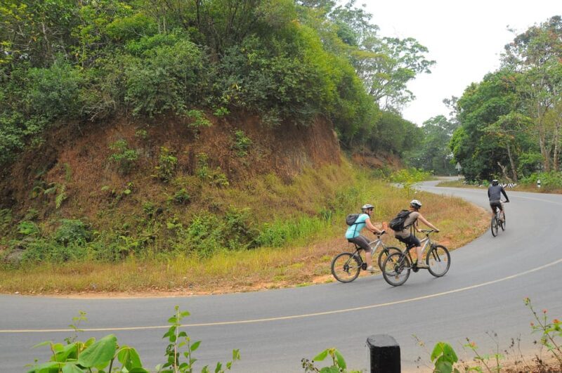 Kochi to Thattekkad - A Closer Look at the Itinerary and Experience