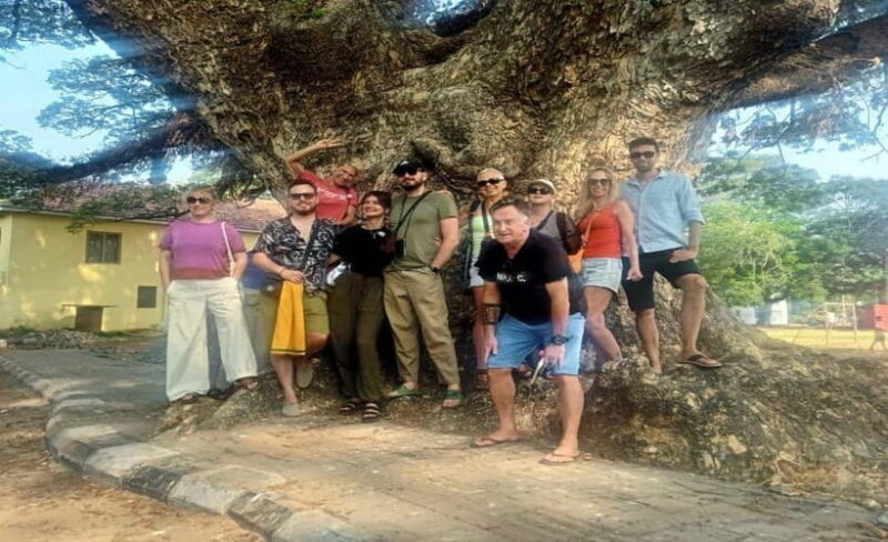 Kochi: Tuk-Tuk Tour with Pickup from Cruise Ships - Key Points