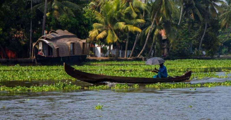 Kochi: Ultimate Kerala and Kumbalangi Village Same Day Tour - Introduction  