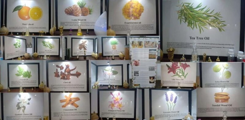 Kochi: Urban Spice Trail Walk - Key Points