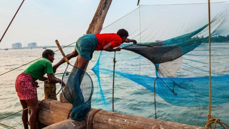 Kochi:4 Day Private Tour of Munnar, Alleppey with House boat - Who Will Get the Most Out of This Tour?  