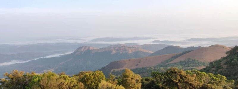 Kodachadri: Summit Trek with forest and cave experience - Introduction to the Kodachadri Trek