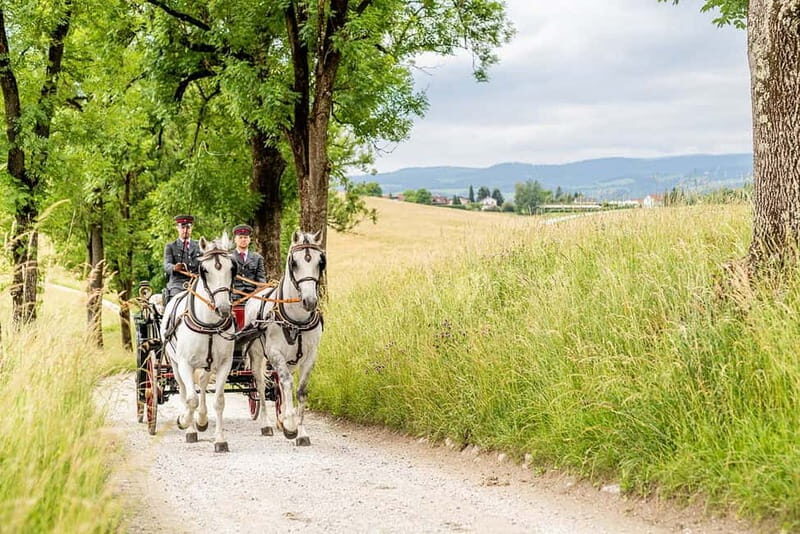 Köflach: Lipizzaner Stud Farm Visit - Key Points