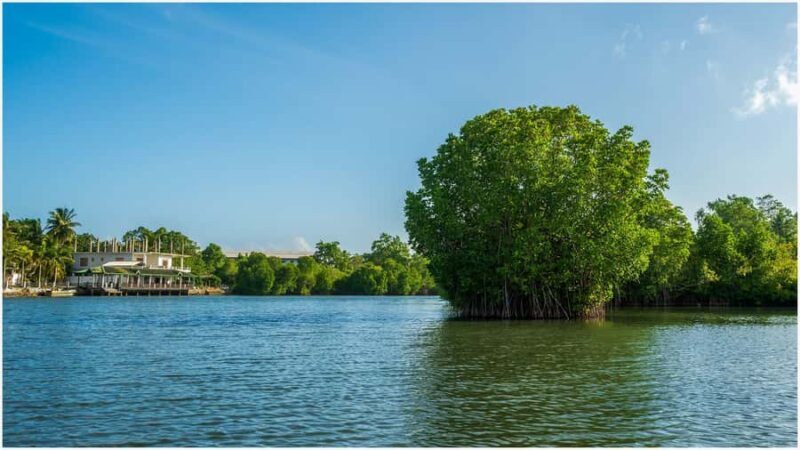 Koggala Lake Kayak Adventure with Malish - FAQ