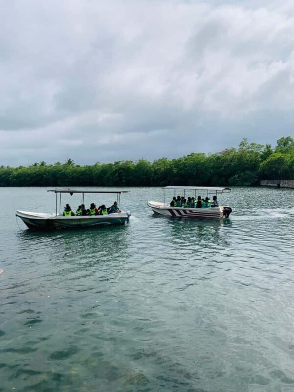 Koggala Lake Private Boat Safari with Island Visits - Detailed Itinerary Breakdown