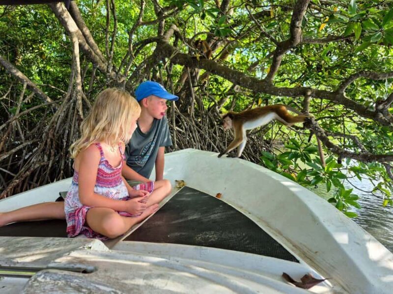 Koggala Lake Private Boat Tour with Dinesh - Who Will Love This Tour?