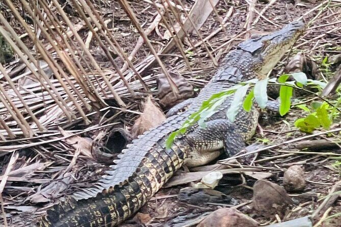 Koggala Lake Safari: Monkeys, Wildlife & Cinnamon Island Visit - FAQ: Your Practical Questions Answered