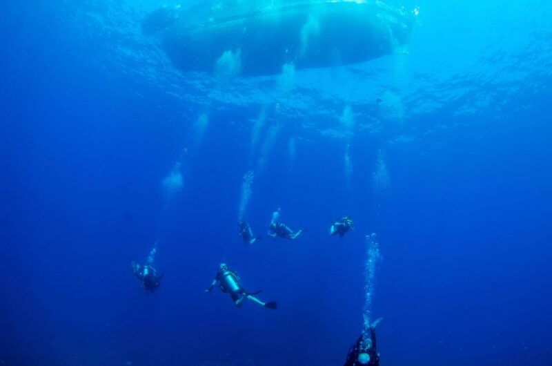 koh-chang-1-day-diving-trip