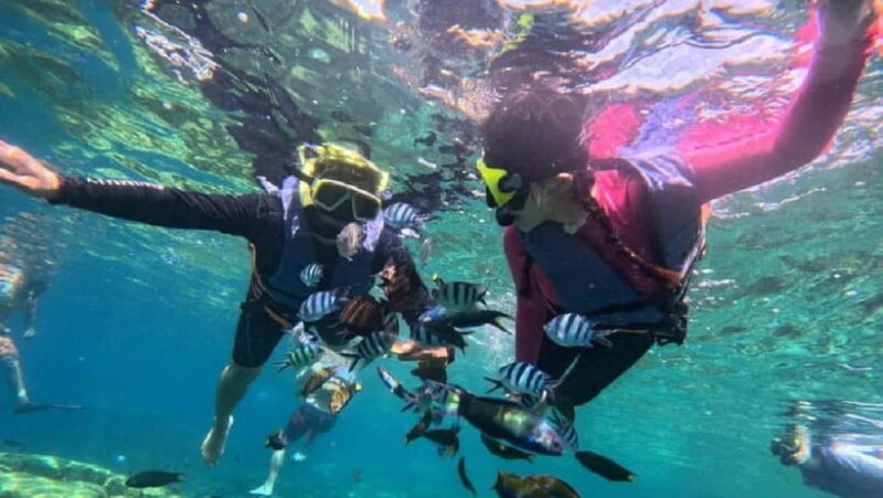 Koh Chang: 5 Island Guided Boat Tour with Lunch Buffet - Final Thoughts