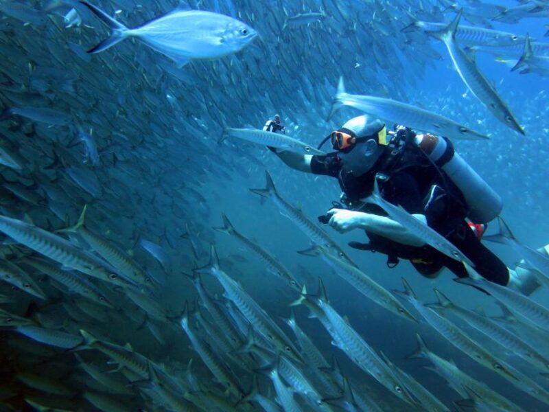 koh-chang-discover-scuba-diving-for-beginners-with-2-dives